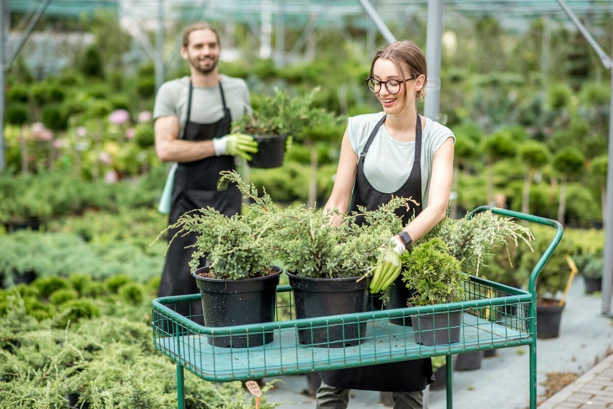 Händlerschulung für den Pflanzenschutz Sachkundenachweis